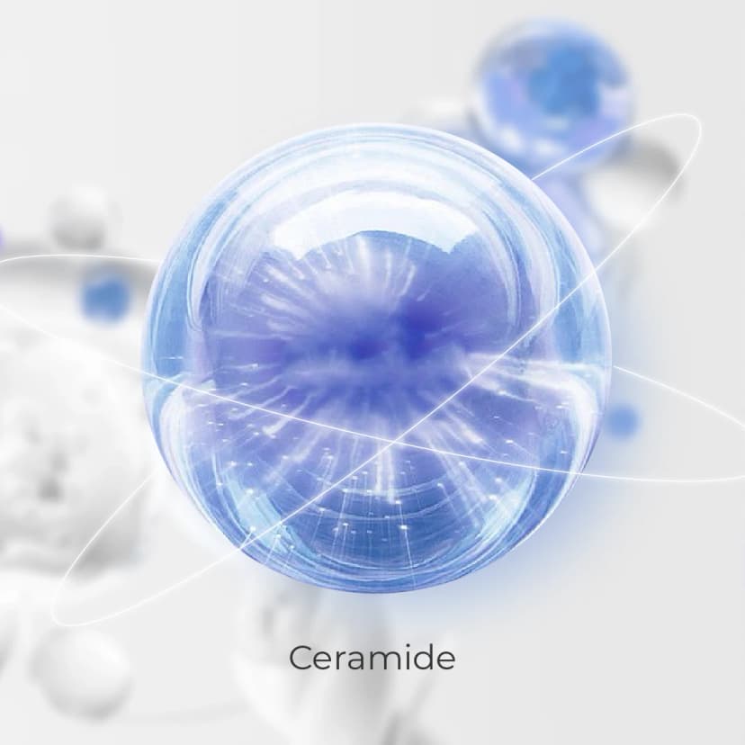 Ceramide