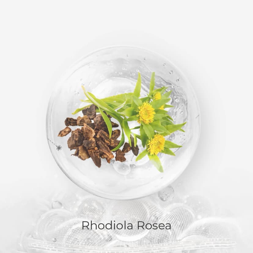 Rhodiola Rosea